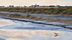 FESTIVAL DE LA CAMARGUE - Du Sel dans mes tartines
